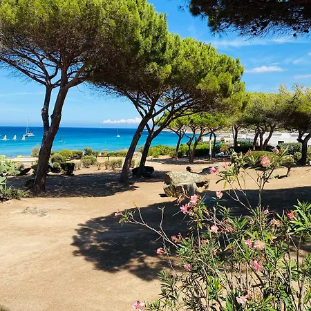 T2 P23 * Lumio (Corsica)