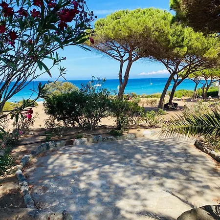 Appartamento T2 P23 *