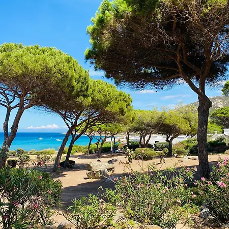 T2 P23 Lumio (Corsica)