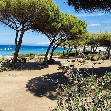 Appartamento T2 P23 Lumio (Corsica)