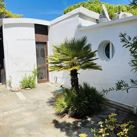 T2 P23 * Lumio (Corsica)