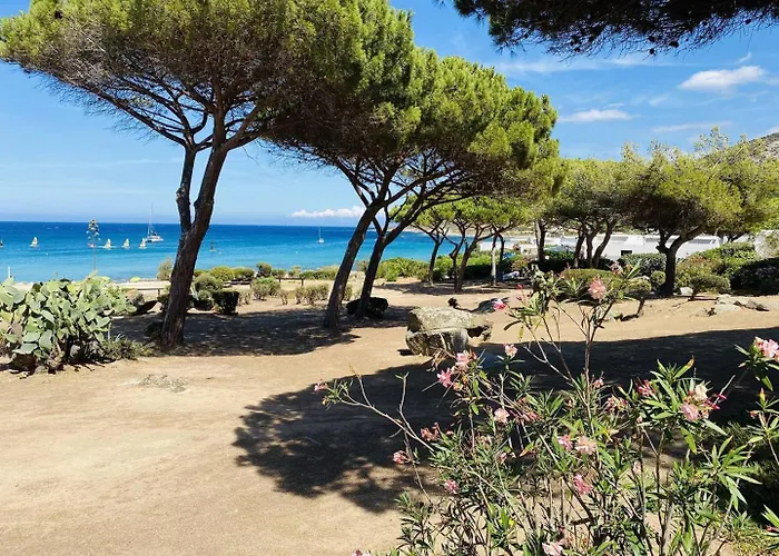 דירה T2 P23 לומיו