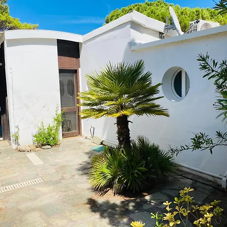 T2 P23 * Lumio (Corsica)