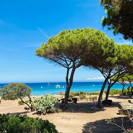 T2 P23 * Lumio (Corsica)