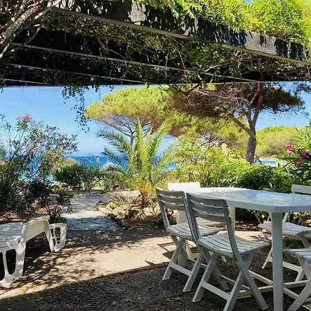 T2 P23 Lumio (Corsica)