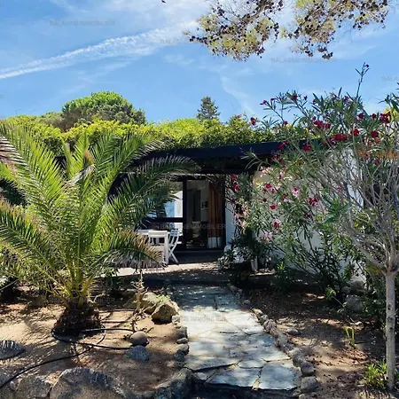 T2 P23 Διαμέρισμα