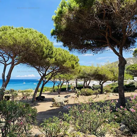 T2 P23 * Lumio (Corsica)